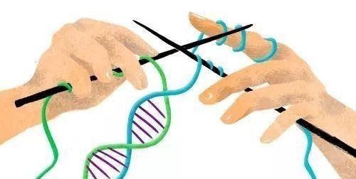 最新上环技术革新避孕与妇科健康领域之路