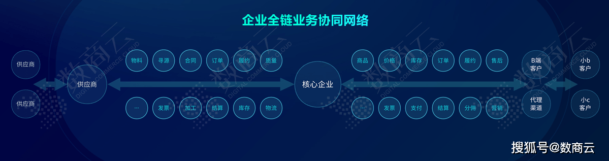 2024年12月30日 第17页