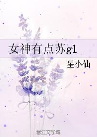 星辰之恋，2017最新GL小说